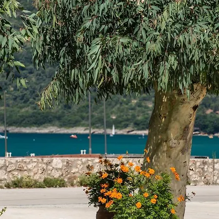 Hotel Akroyiali Vassiliki