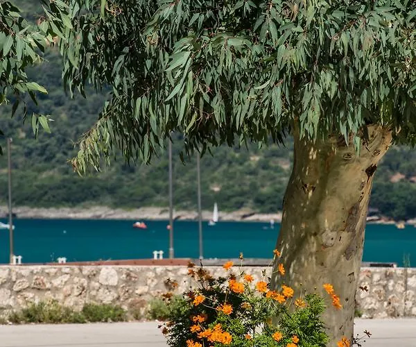 Hotel Akroyiali Vasiliki (Lefkada)